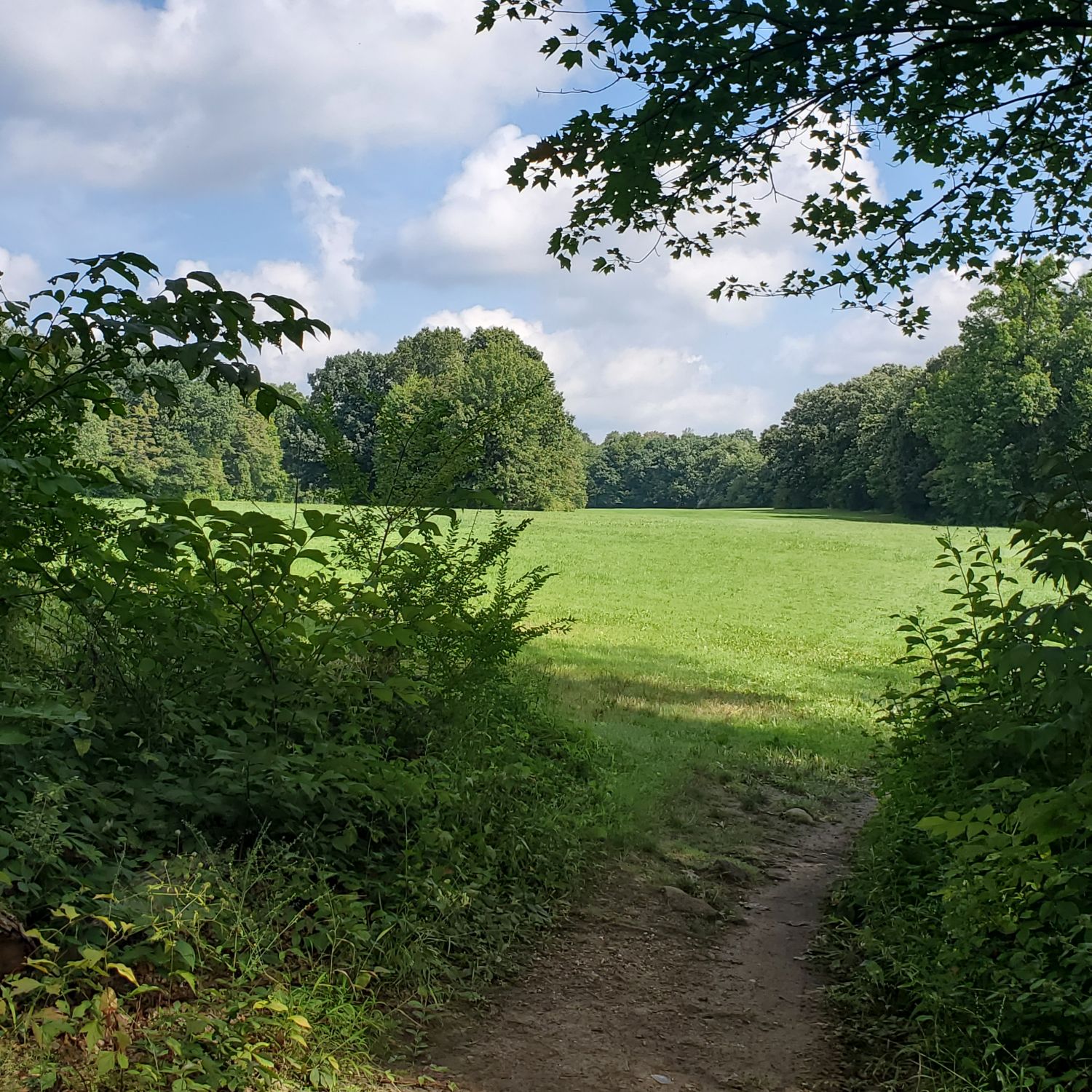 Ledges and Pine Grove Trails 